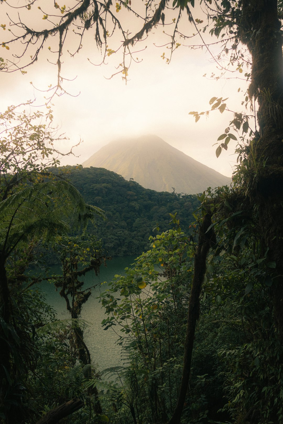 Mountain Majesty