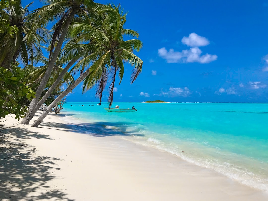 Tropical Paradise